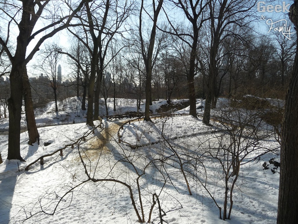 nyc39-central-park